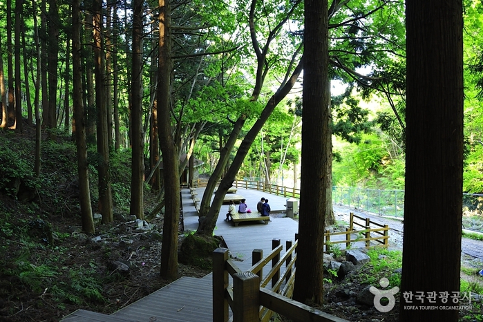 울릉도 가볼만한곳 베스트10