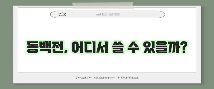 동백전 카드 사용처 완벽하게 총정리했습니다!