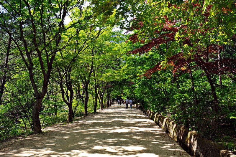 5월 가볼만한 국내 여행지 (경북)