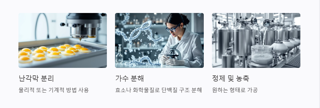 난각막 가수 분해물 제조과정