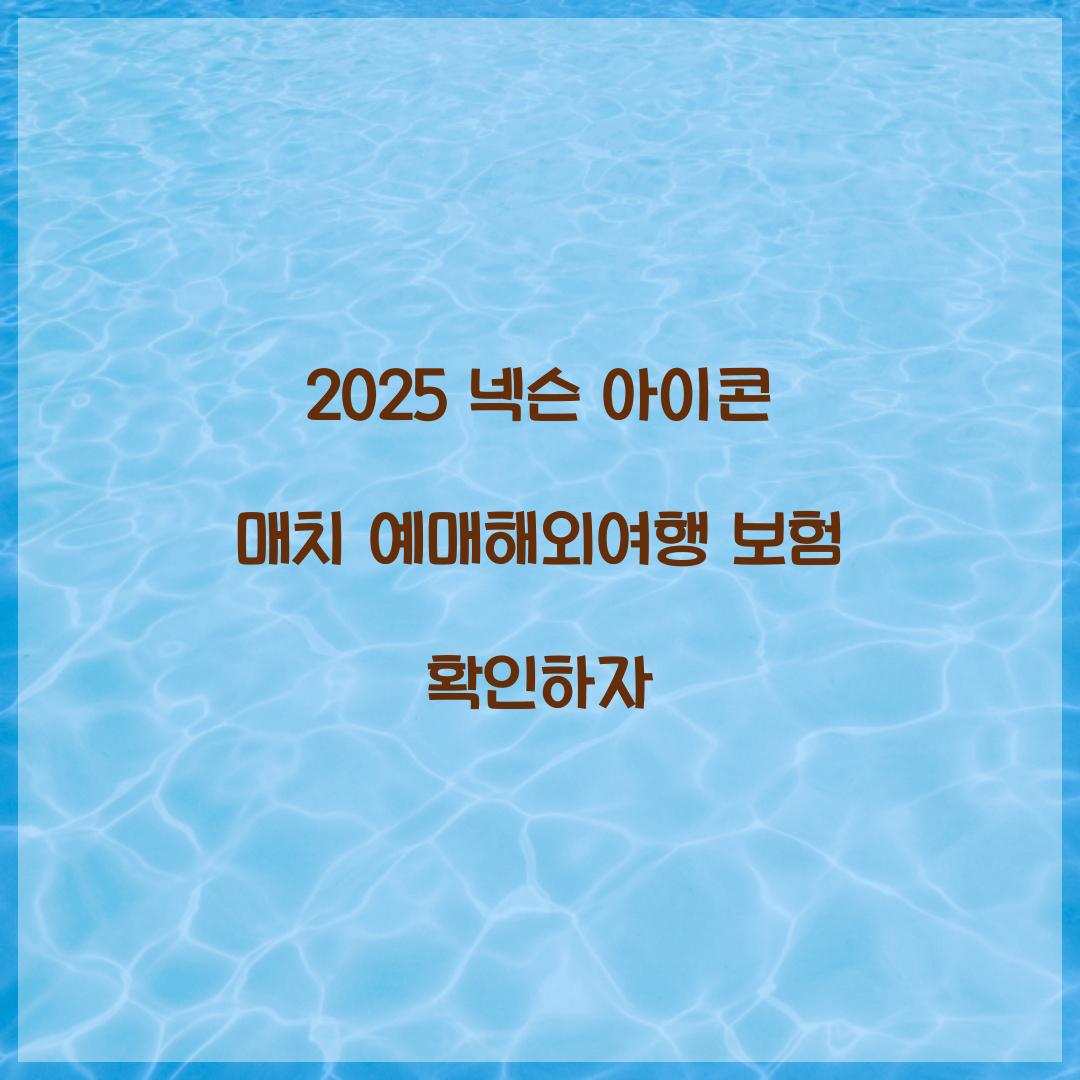 2025 넥슨 아이콘 매치 예매해외여행 보험