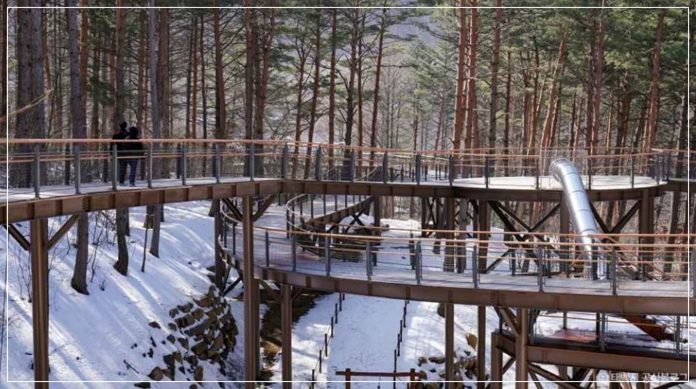 태백 가볼만한곳 베스트10 태백산 국립공원