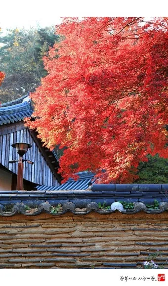 가을 단풍 여행지 베스트10 산책로 사진스팟 대중교통으로 여유롭게_11