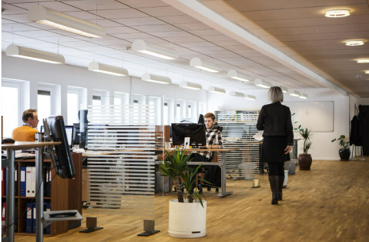 회사에 기대던 안정감이 사라지는 순간