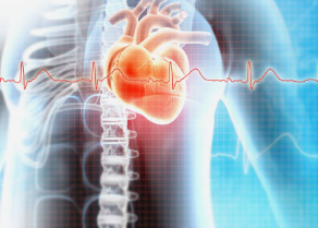 심장판막증 증상 수술 비용 역류 현상 심장판막증에 좋은 음식 / 수술 후 운동