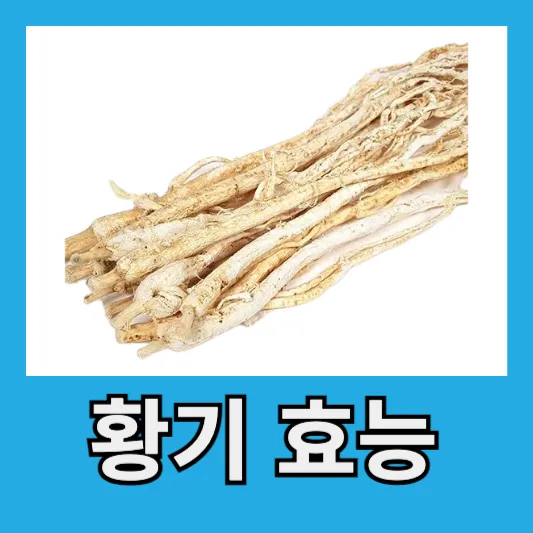황기 효능