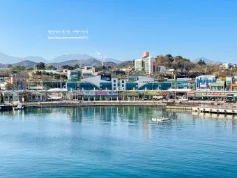 속초 대포항 영금정 회센터 버스 시간 걷기 코스_9