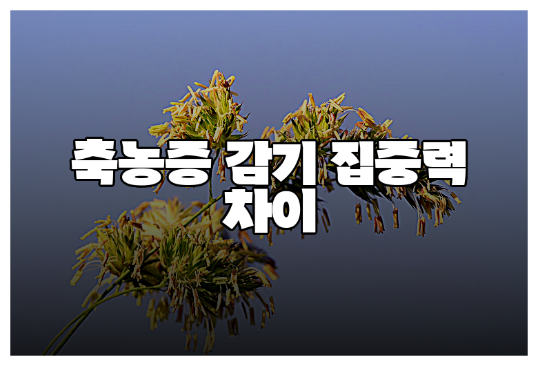 축농증 감기 집중력 차이