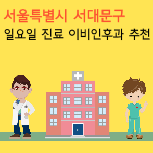 서울 서대문구 일요일 진료 이비인후과 추천