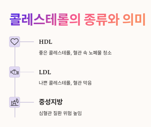 콜레스테롤의 종류와 의미
