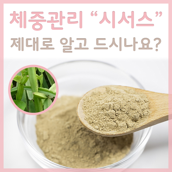 시서스와-시서스-분말