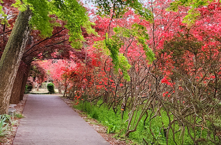익산 아가페정원