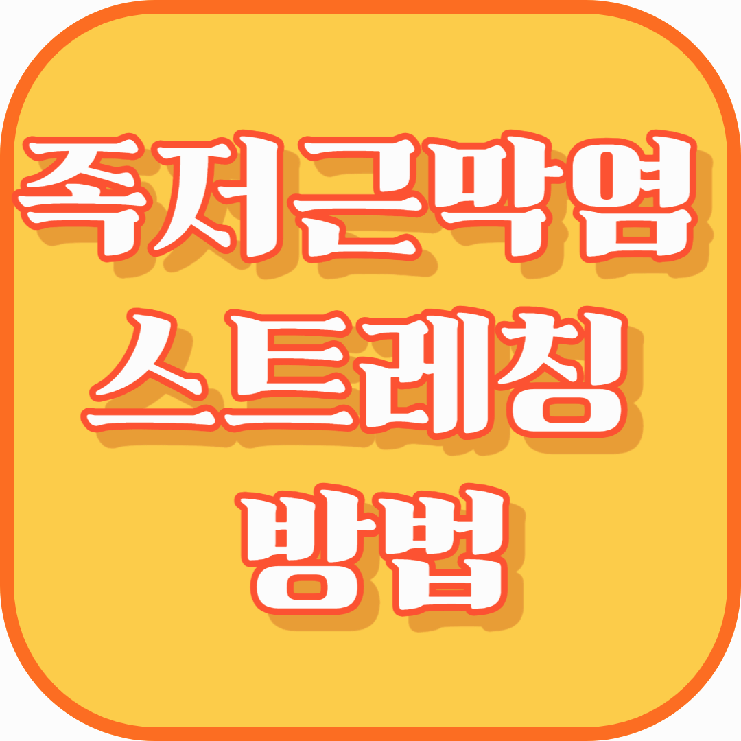 족저근막염 스트레칭 방법 총정리 – 통증 완화부터 재발 방지까지 (2025년 최신판)