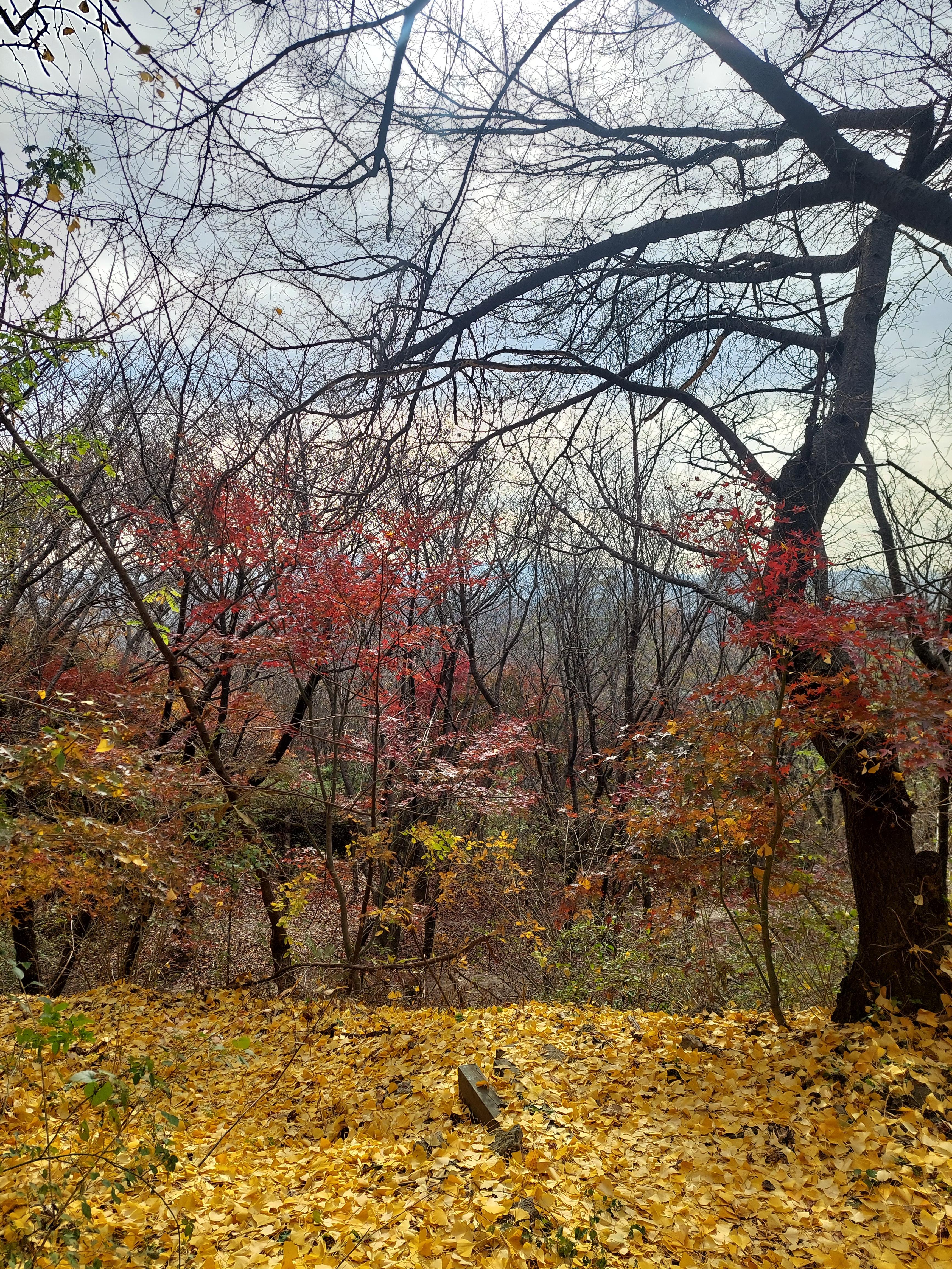 안산