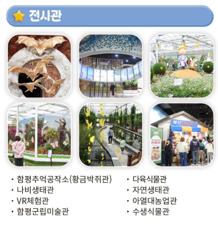 생생정보 가수 홍경민의 전남 함평 나비대축제 한옥전원마을 화랑식당 바나나 생태나라 정보