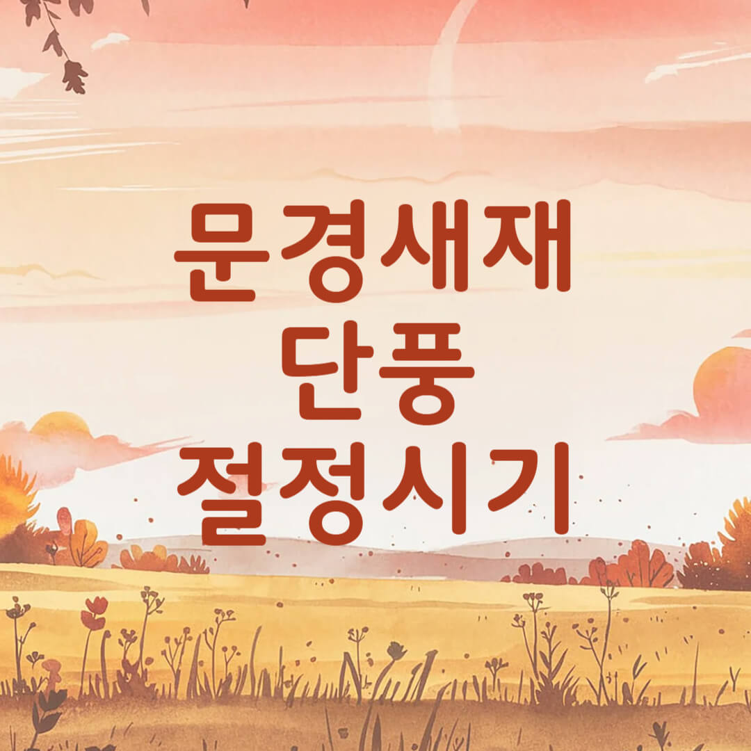 문경새재 단풍 절정시기