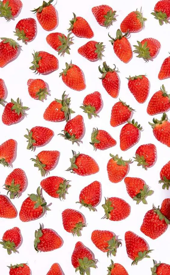 오브닝케이크앤디저트