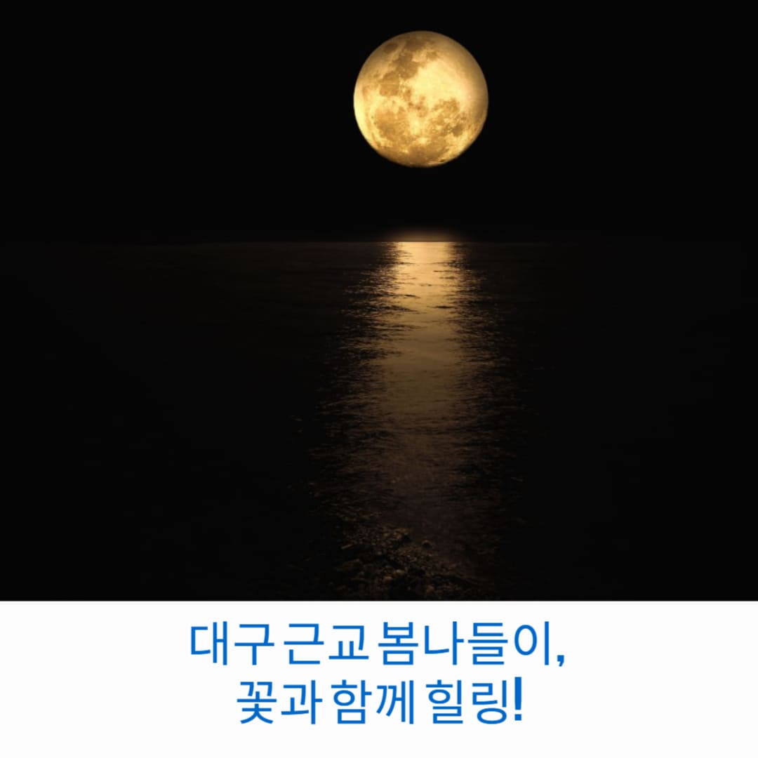 대구-근교-봄나들이-꽃과-함께-힐링-썸네일