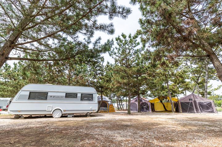 태안군 몽산포오션캠핑장 소개