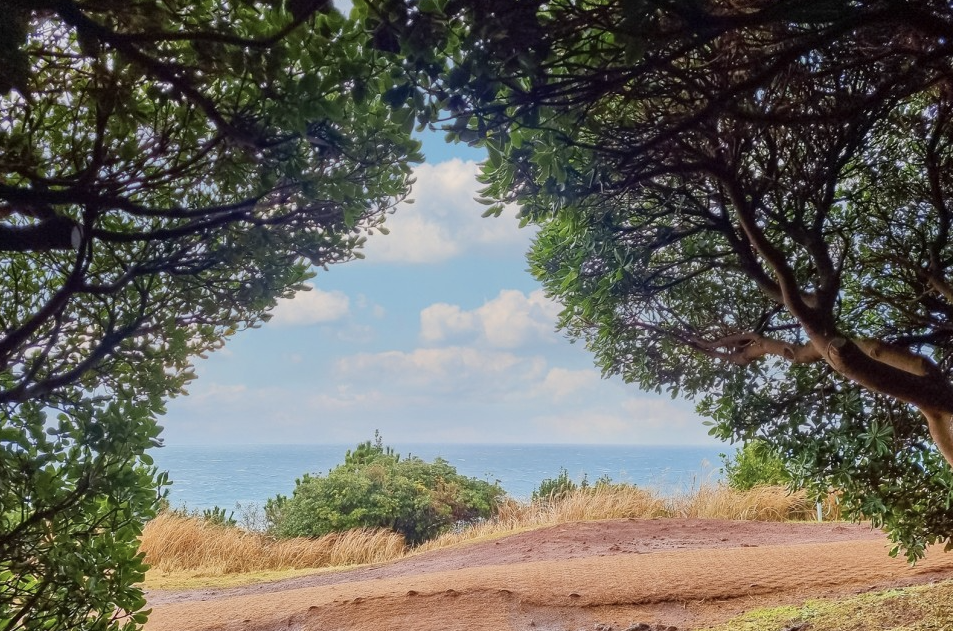 제주여행 2박3일 추천 코스(자유 여행)