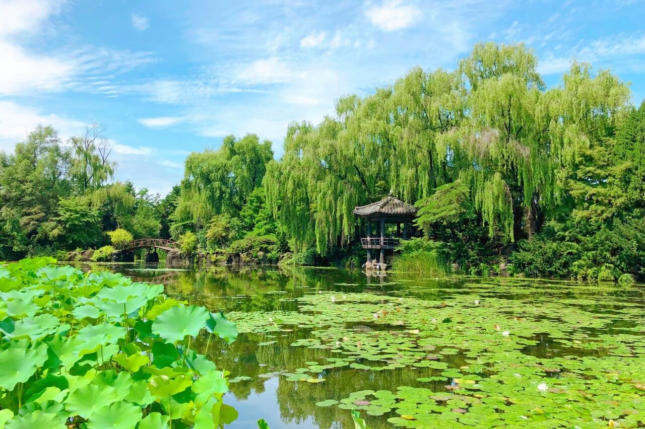 2025년 벽초지수목원 튤립 봄꽃축제 가이드!!