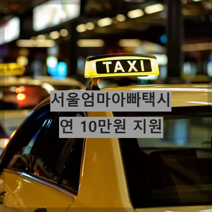 서울엄마아빠택시 10만원지원