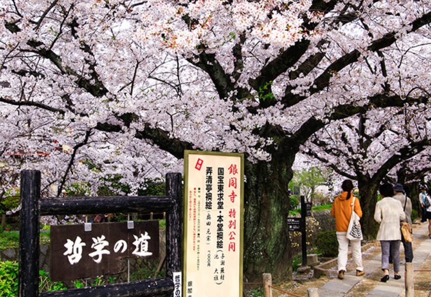 일본여행 꿀팁 완벽가이드