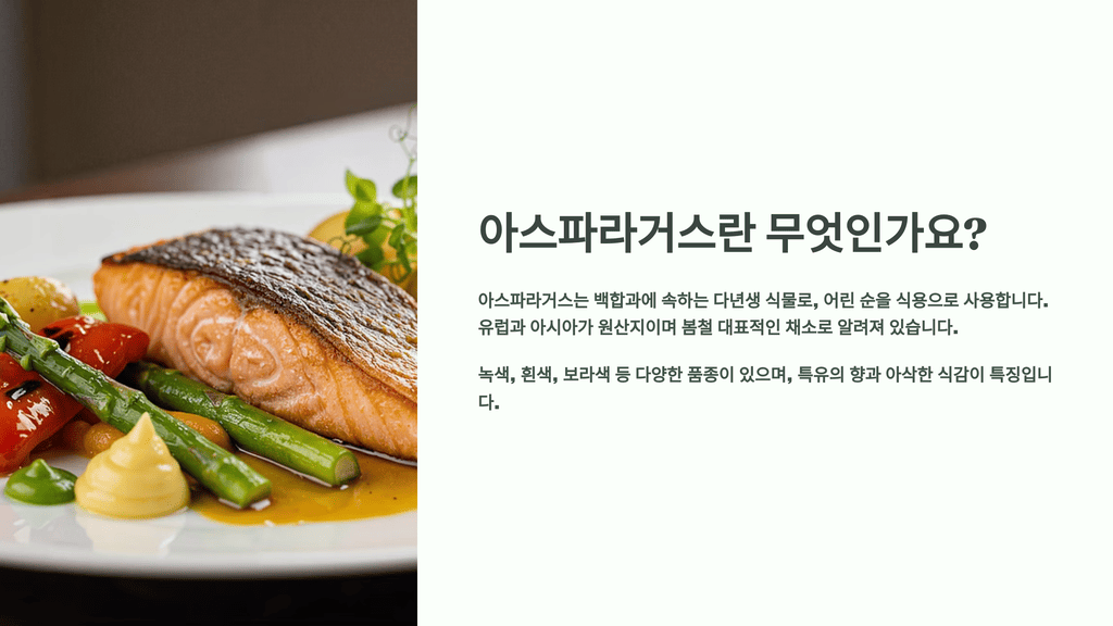 아스파라거스란 무엇인가요?