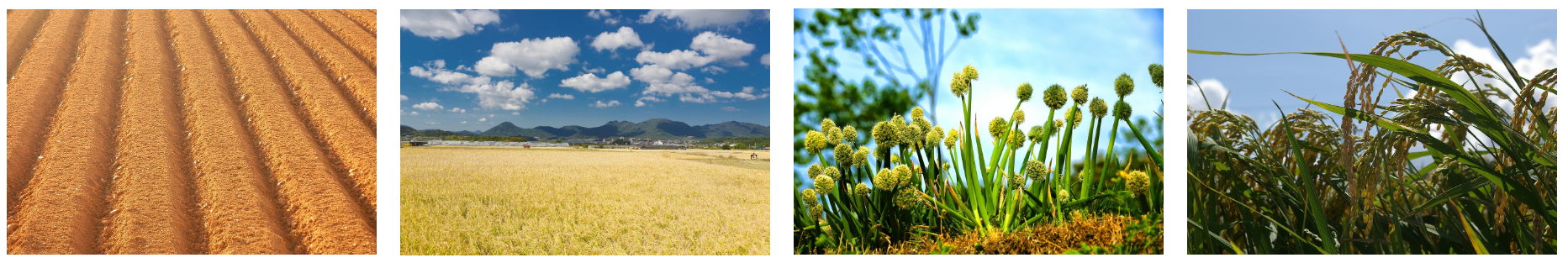 공익직불금 관련 사진