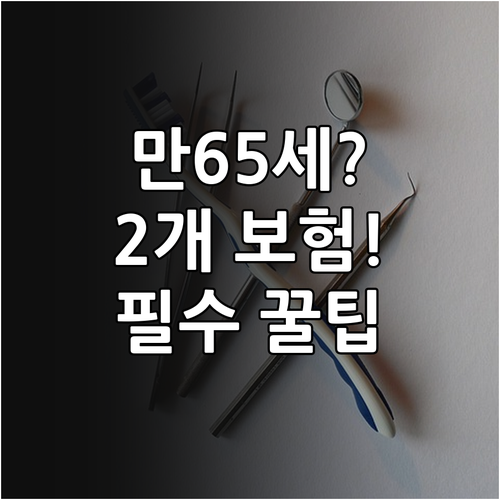 만 65세 이상 임플란트 2개 보험 ..