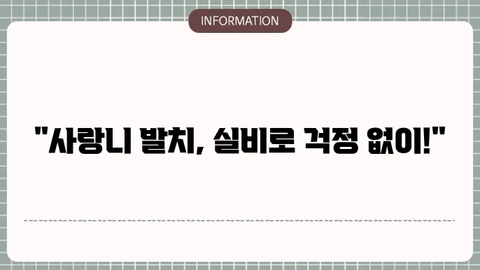 사랑니 발치 후 회복 과정