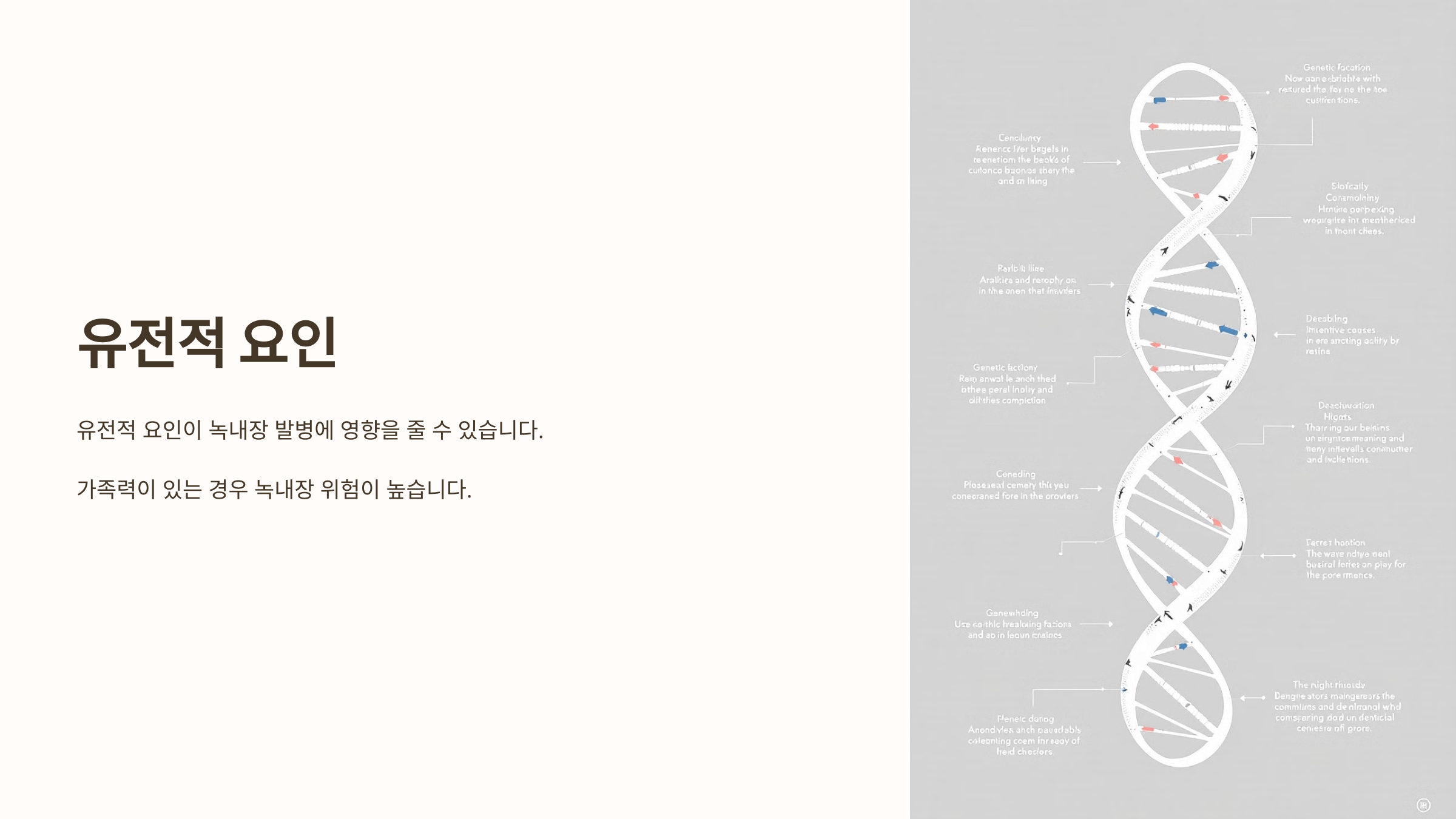 녹내장과 관련된 사진입니다.