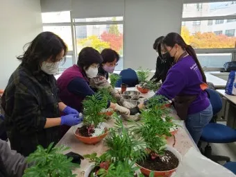 원예치료사 과정 안내 응시자격 교육시간 활동분야_25