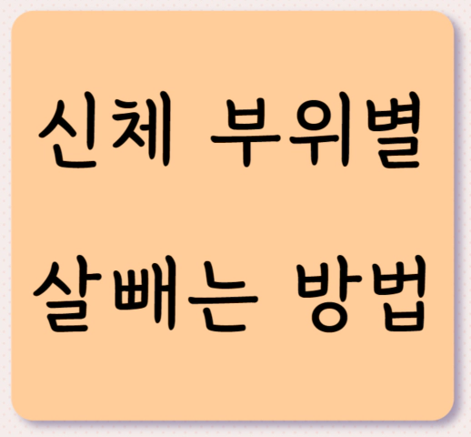 여름 준비를 위한 부위별 살빼는 방법 소개