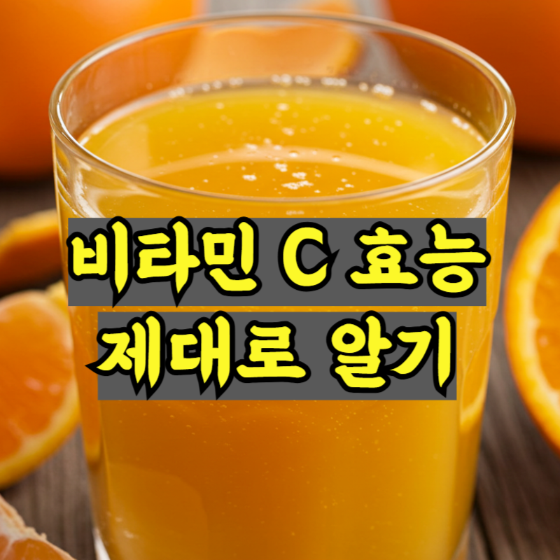 비타민 C 효능, 제대로 알고 챙기자