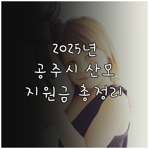 2025년 공주시 산모 지원, 몰라서..