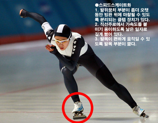 동계 스포츠 종목ㅣ유래부터 관전 포인트까지 총정리