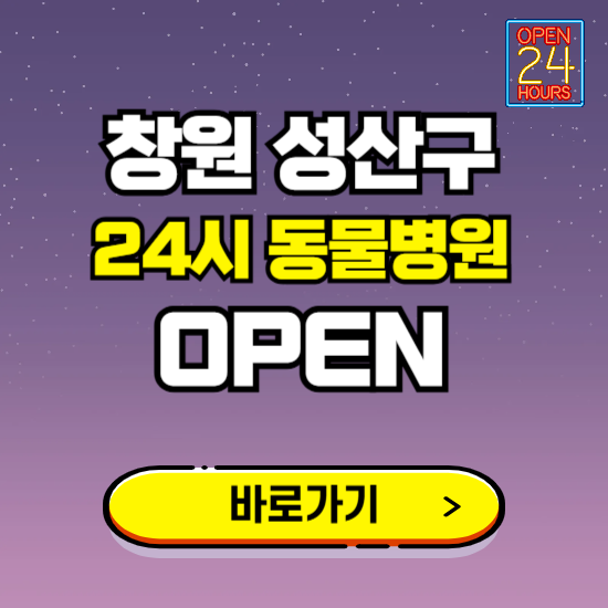 창원시 성산구 24시 동물병원 진료하는 곳 ❘ 설날 휴일 야간 심야 문여는곳 찾기 ❘ 응급진료