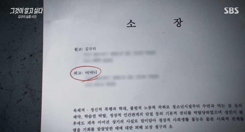 김규리 실종