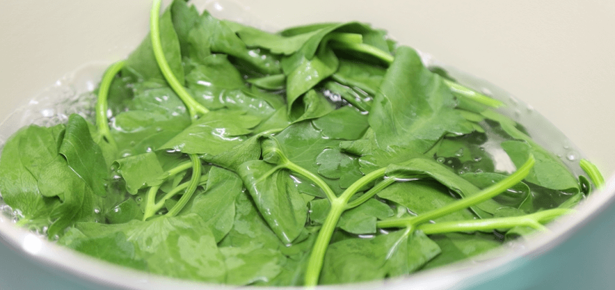 물속에 담겨 있는 방풍나물