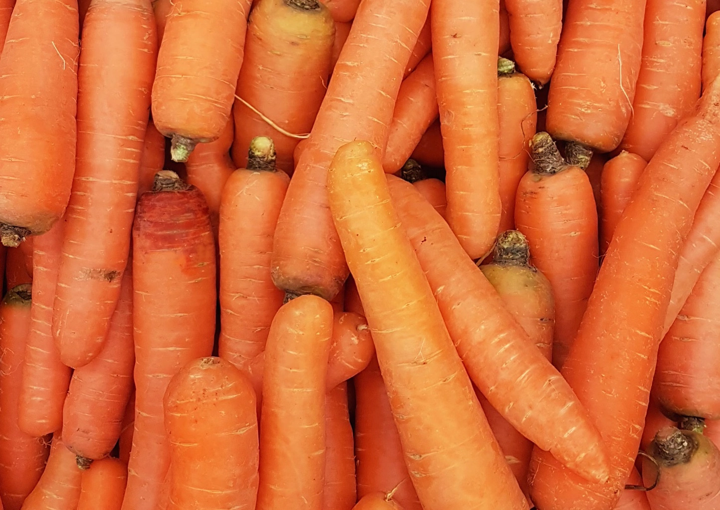 삶은 당근 칼로리