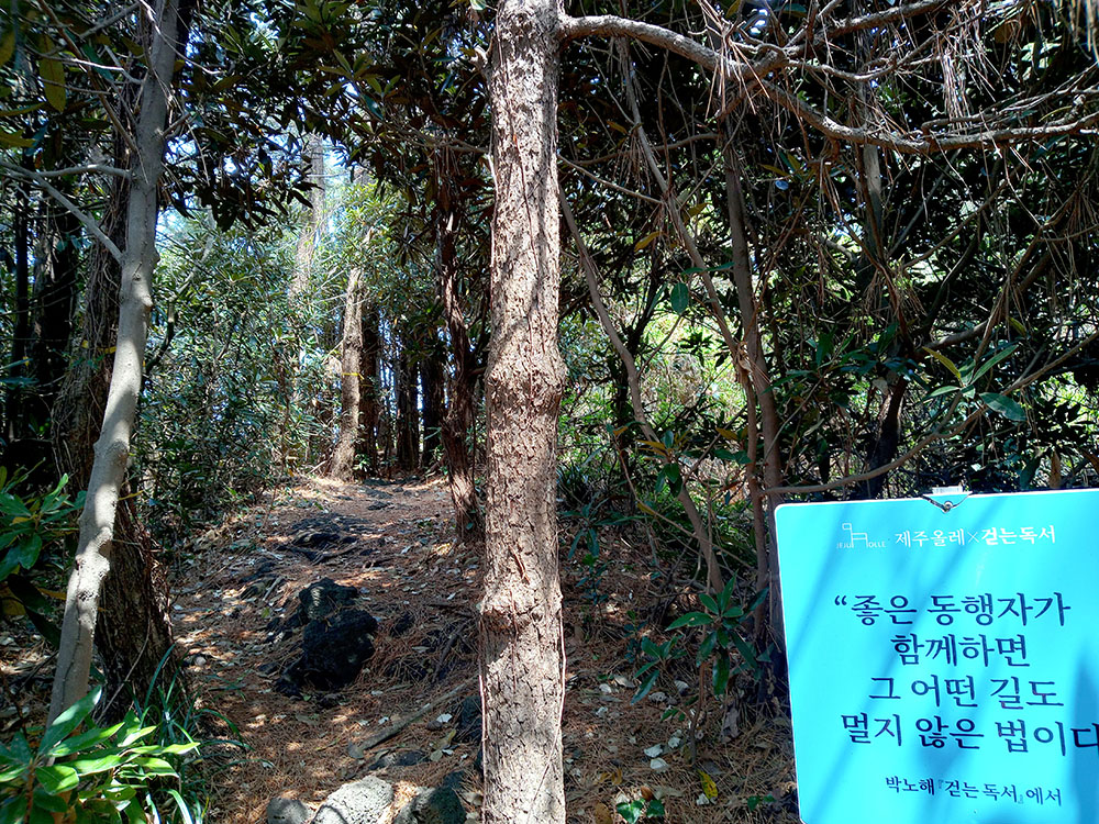 걷는독서 박노해