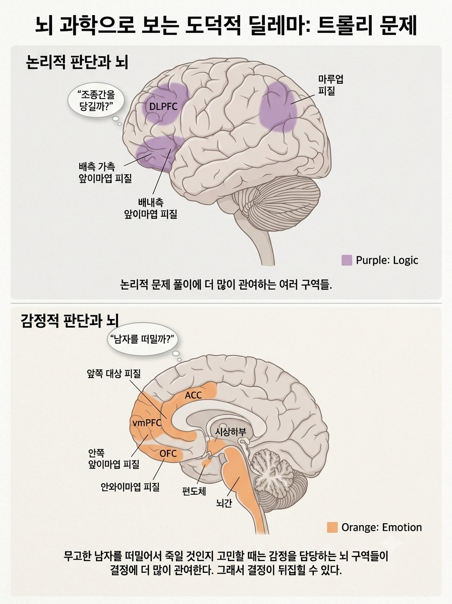 논리를 담당하는 뇌 구역과 감정과 관련되 뇌 구역에 대한 내용