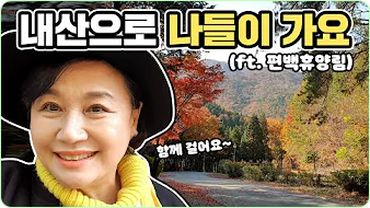 박원숙 박원숙의 같이 삽시다 시즌3&amp;#44; 나이&amp;#44; 재방송&amp;#44; 남해 카페&amp;#44; 프로필&amp;#44; 아들&amp;#44;고향&amp;#44; 가족&amp;#44; 드라마