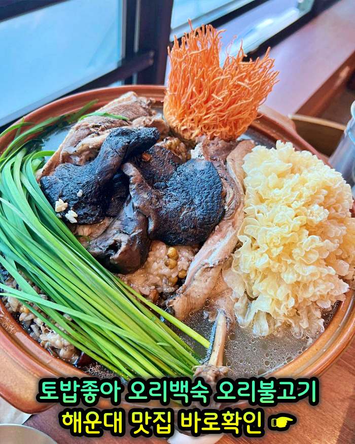 부산 해운대 맛집 무항생제 1등급 오리 백숙