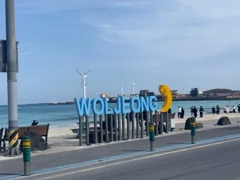 제주 월정리 카페 추천 감성 인테리어와 베이커리 소개_11