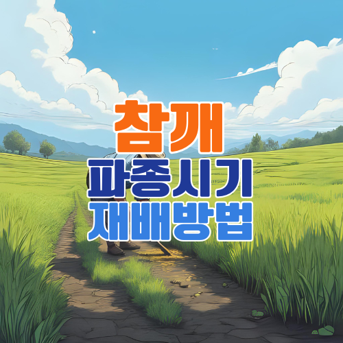 참깨 파종시기와 재배법 총정리 – 초보자도 쉽게 키우는 참깨 심는법