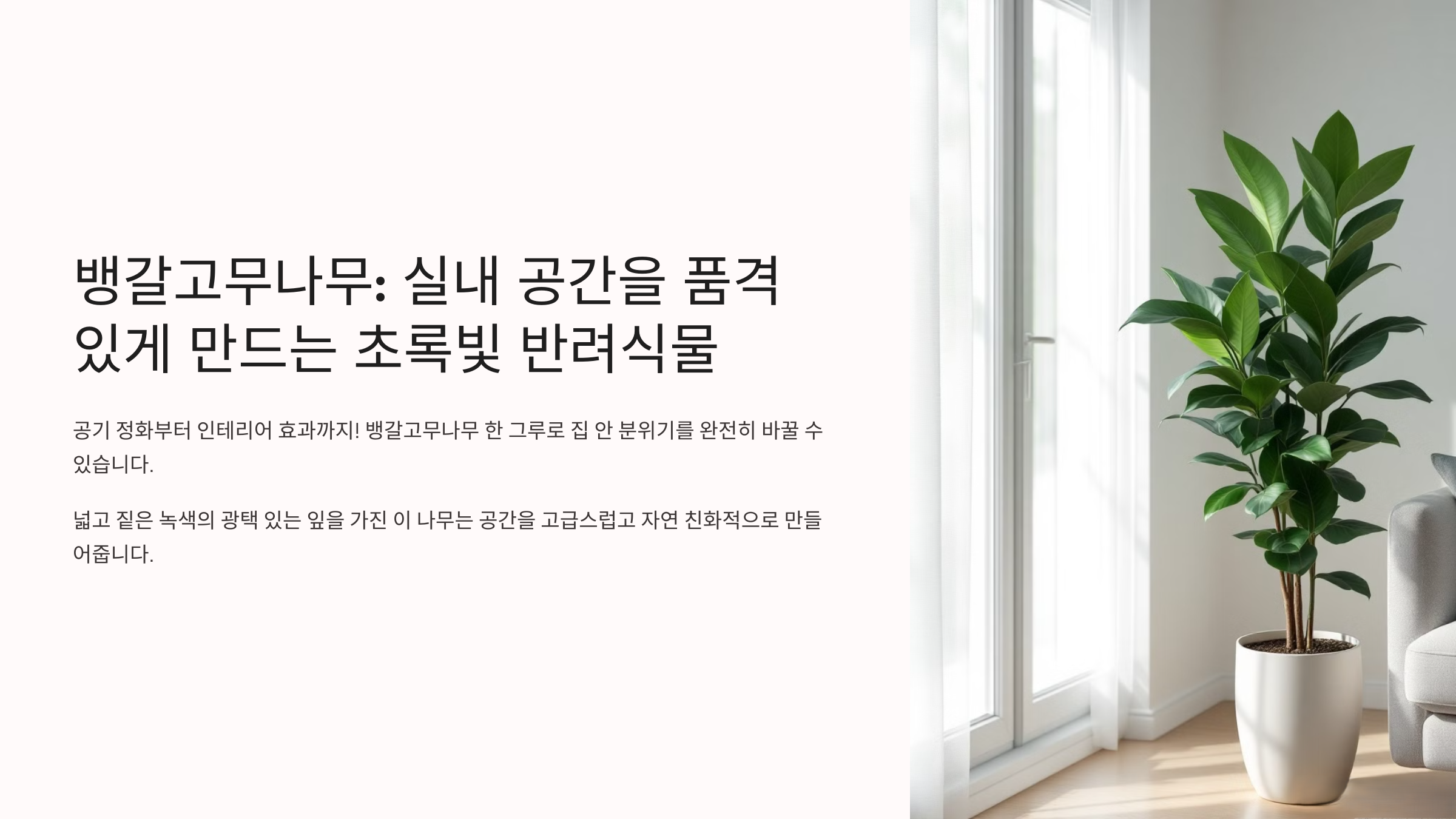 뱅갈고무나무