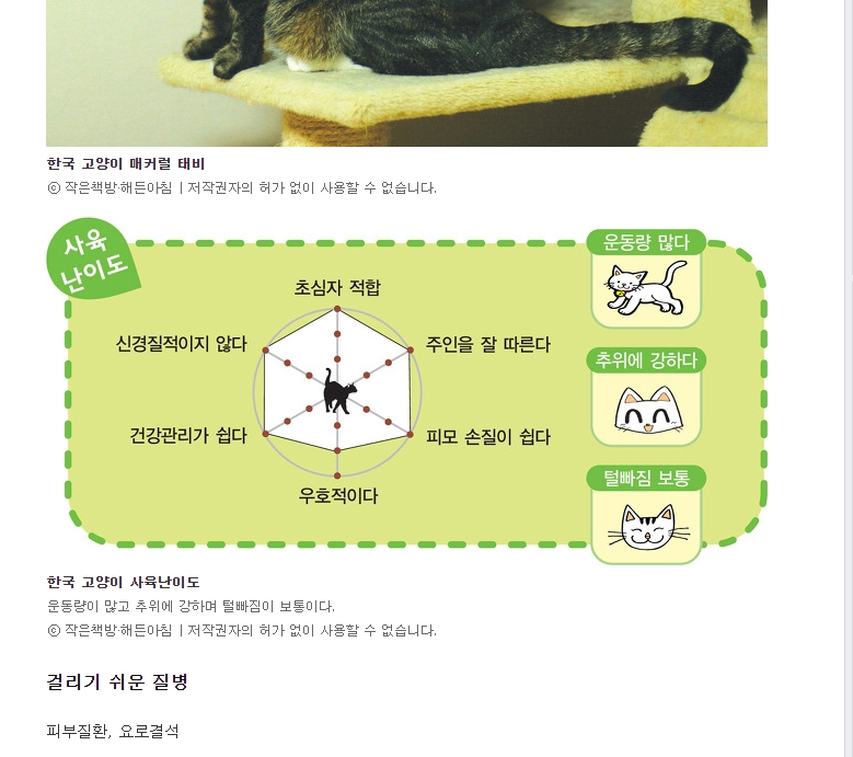 한국 고양이의 특징을 항목별로 평가한 정보