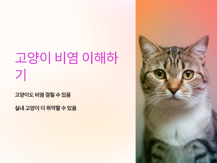 고양이 비염 이해하기